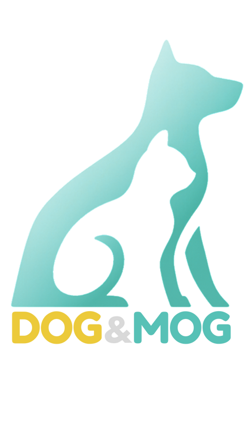 DOG & MOG PET SUPPLIES